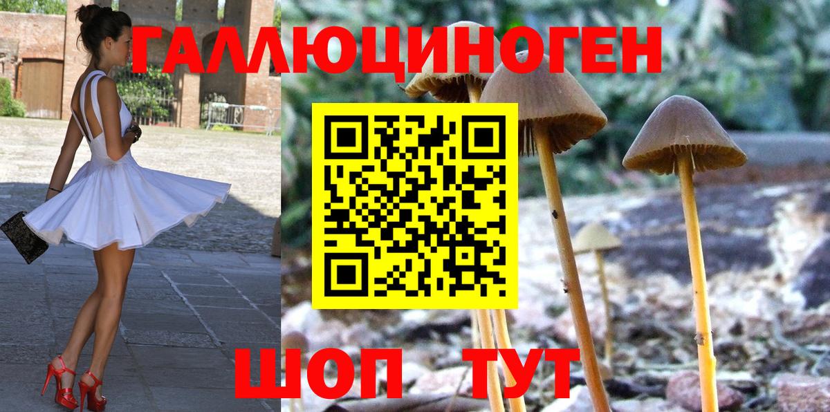 Галлюциногенные грибы GOLDEN TEACHER  Псилоцибиновые грибы ЛСД  Шатура  Вход с VPN 
