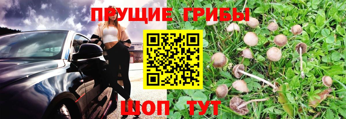Галлюциногенные грибы мицелий Шатура